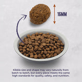 Alpha Sensitive Extra Duck & Rice Dry Dog Food 15kg Dry Dog Food Alpha 