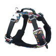 Lightweight breathable mesh dog harness – Red Dingo Sport Harness