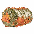 Trixie Hay Bale with Pumpkin & Carrot Trixie 