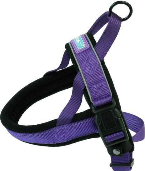 Hem&Co Purple Harness Medium Collars & Leads Dog & Co 