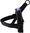 Hem&Co Black Harness Medium Collars & Leads Dog & Co 