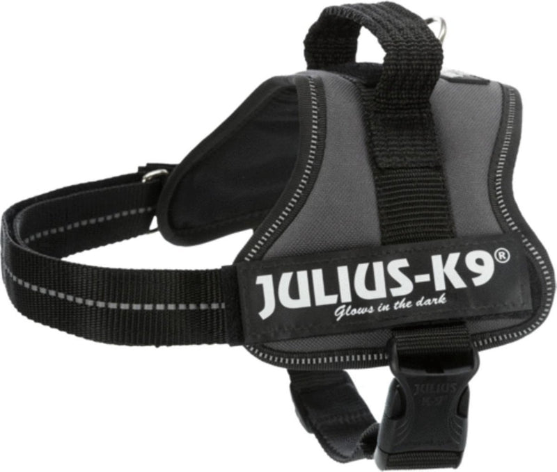 Julius K9 X-Large Size 2 Anthracite Harness Julius-K9 