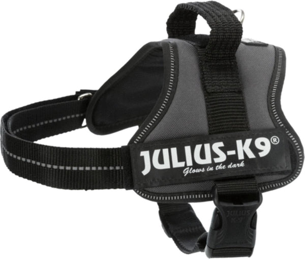 Julius K9 Mini Anthracite Harness Julius-K9 