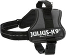 Julius K9 Medium Size 0 Anthracite Harness Julius-K9 