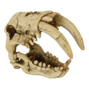 RS Skull Sabre Tooth Tiger Decor Reptile Systems 