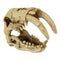 RS Skull Sabre Tooth Tiger Decor Reptile Systems 
