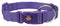 Trixie Premium Collar Small Violet Collars & Leads Trixie 