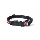 EzyDog Double Up Collar Small Black Ezy Dog EzyDog 
