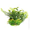 Aquaone Ecoscape Small Green Fern 10cm Plastic Plants Aqua One 