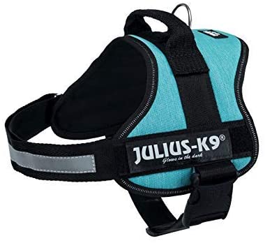 Julius K9 Powerharness Size 0 Ocean Harness Julius-K9 