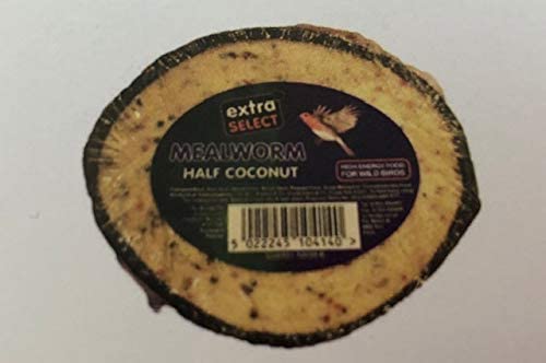 Extra Select Select Half Coconut Feeder Outdoor Food Extra Select 