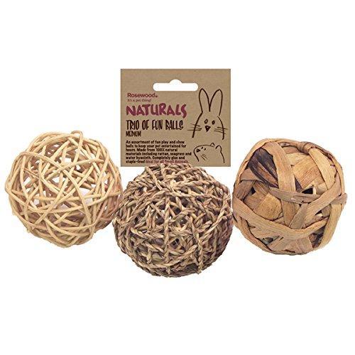 Naturals Fun Ball Trio Guinea Pigs Rosewood 