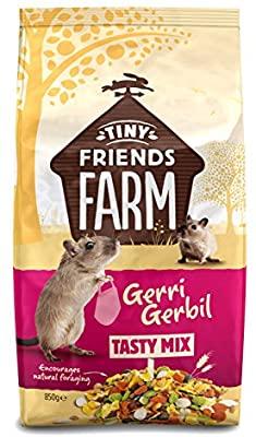 Gerri Gerbil 850g Gerbils Supreme Pet Foods 