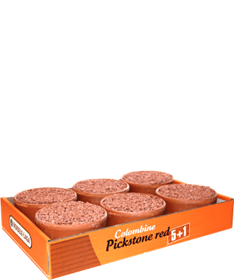 VL Pickstone Red Pigeon Versele-Laga 