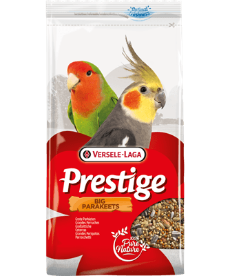 VL Big Parakeet Prestige 1kg Indoor Food Versele-Laga 