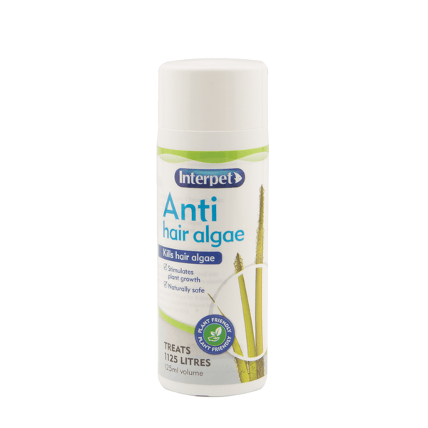 Interpet Anti Hair Algae Treatments Interpet 
