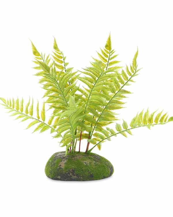 PR Artificial Tropical Fern Plant 25cm False Plants ProRep 