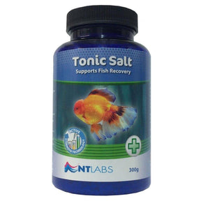 NT Labs Tonic Salts 300g Treatments NT Labs 