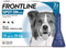 FrontLine Spot On Medium Dog 3pack Dog Treatments Frontline 