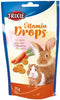 Trixie Carrot Drops 75g Hamster Trixie 
