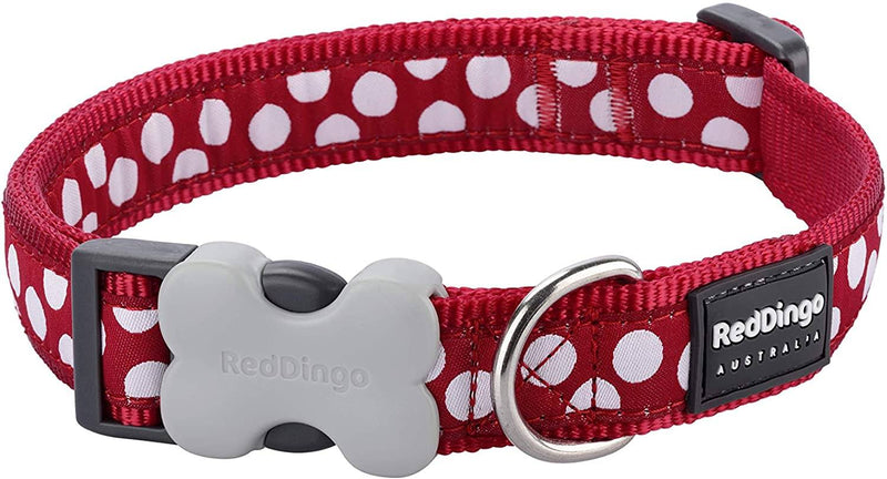 Red Dingo White Spot Red Small Collar Collars Red Dingo 