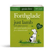 Forthglade Just Lamb 395g Wet Dog Food Forthglade 
