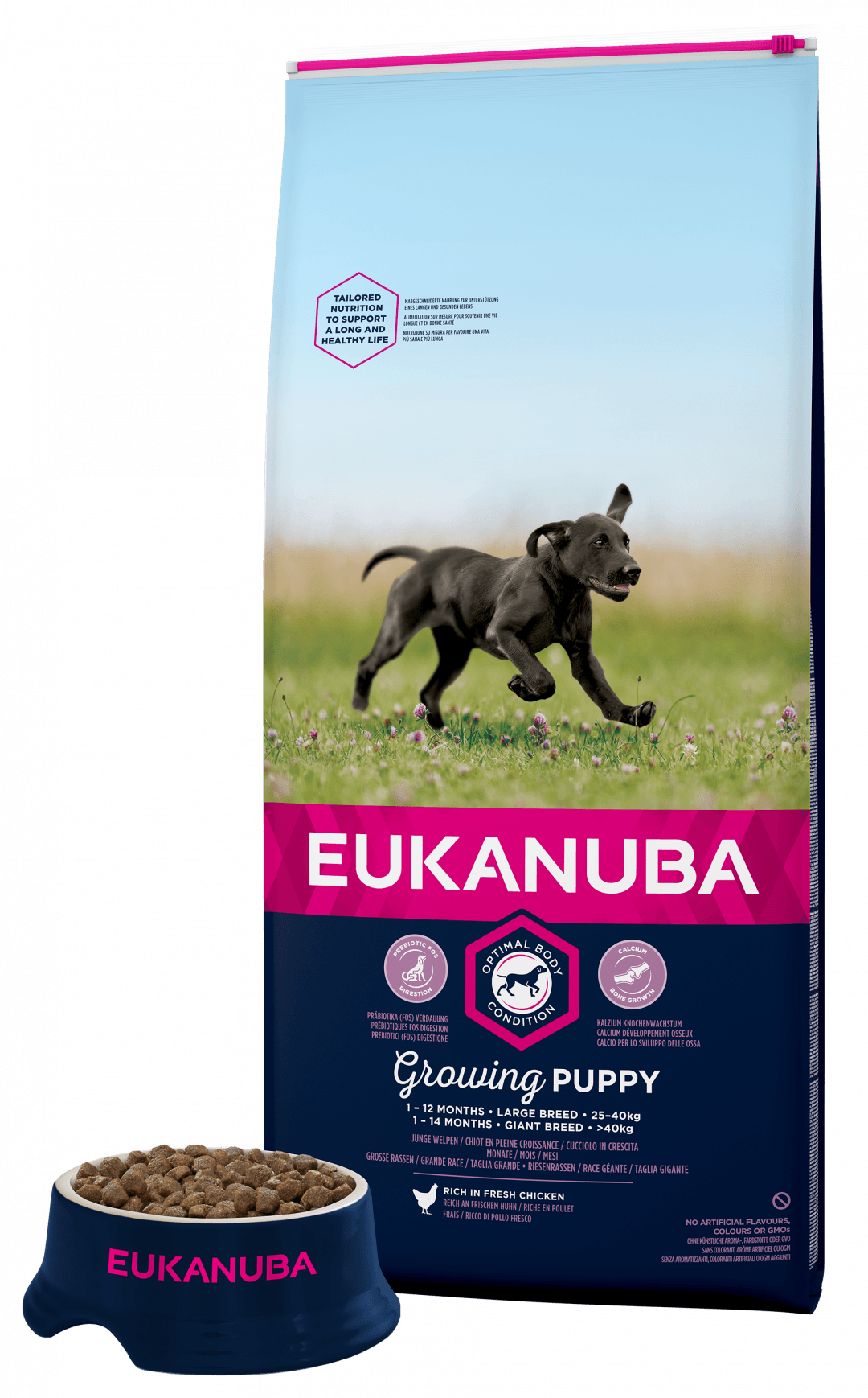 Eukanuba Puppy Large Breed 12kg Chicken Dog Food Eukanuba 