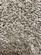 Extra Select Sunflower Hearts 20kg Extra Select 