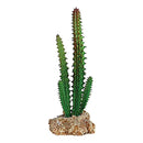 RS Cactus with Rock Base FP28706 Decor RepStyle 