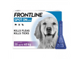 Frontline Single Large Dog 20 - 40kg Dog Treatments Frontline 