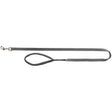 Trixie Graphite Lead XS-S Leads Trixie 