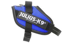 Julius K9 IDC Powerharness Baby 2 Blue Harness Julius-K9 