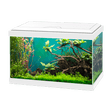Ciano Aqua 20 With LED Light Tanks CIANO 