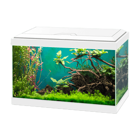 Ciano Aqua 20 With LED Light Tanks CIANO 