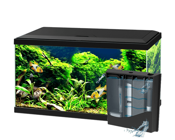 Ciano Aqua 60 LED Aquarium CIANO 