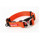 EzyDog Double Up Collar Orange XL Ezy Dog EzyDog 