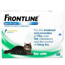 Frontline Spot On Cat 3pip Cat Treatments Frontline 