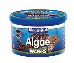 King British Algae Wafers 100g Fish Foods King British 