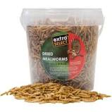 Extra Select Dried Mealworms 1ltr Outdoor Food Extra Select 