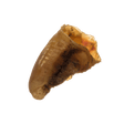 Empty Hoof Single Dog Treats Anco 