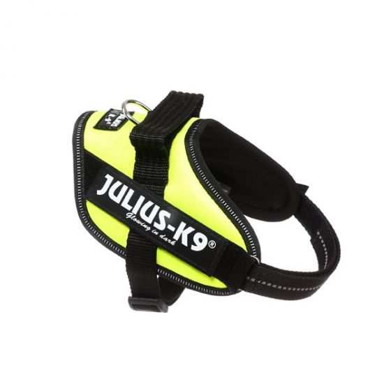 Julius K9 S/Mini Neon Green Harness Julius-K9 