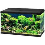 Ciano Aqua 60 LED Aquarium Black Tanks CIANO 
