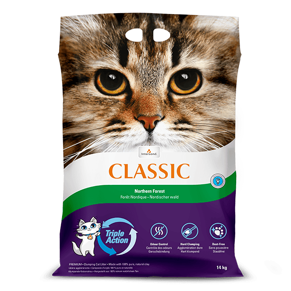 Intersand Northern Forest Cat Litter 12kg+2kg Cat Litters Intersand 