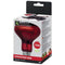 RS InfraRed Heat Lamp - 75W - E27 Lighting & Heating Reptile Systems 