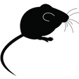Medium Mice 10 Pack Peregrine 