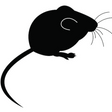 Pinkie Mice Mice Peregrine 