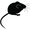 XL/Jumbo Mice Mice Peregrine 