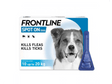 Frontline Single Dose Medium Dog 10 - 20kg Dog Treatments Frontline 
