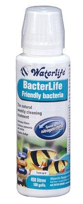 Waterlife Bacterlife 250ml Treatments Waterlife 