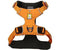 Front Range Harness Orange Poppy L/XL Harness RUFFWEAR 